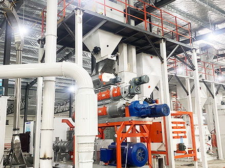 SW150 5TPH floating fish feed extrusion plant project case