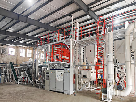 Client Case: Customized Puffing Production Line Elevates Efficiency