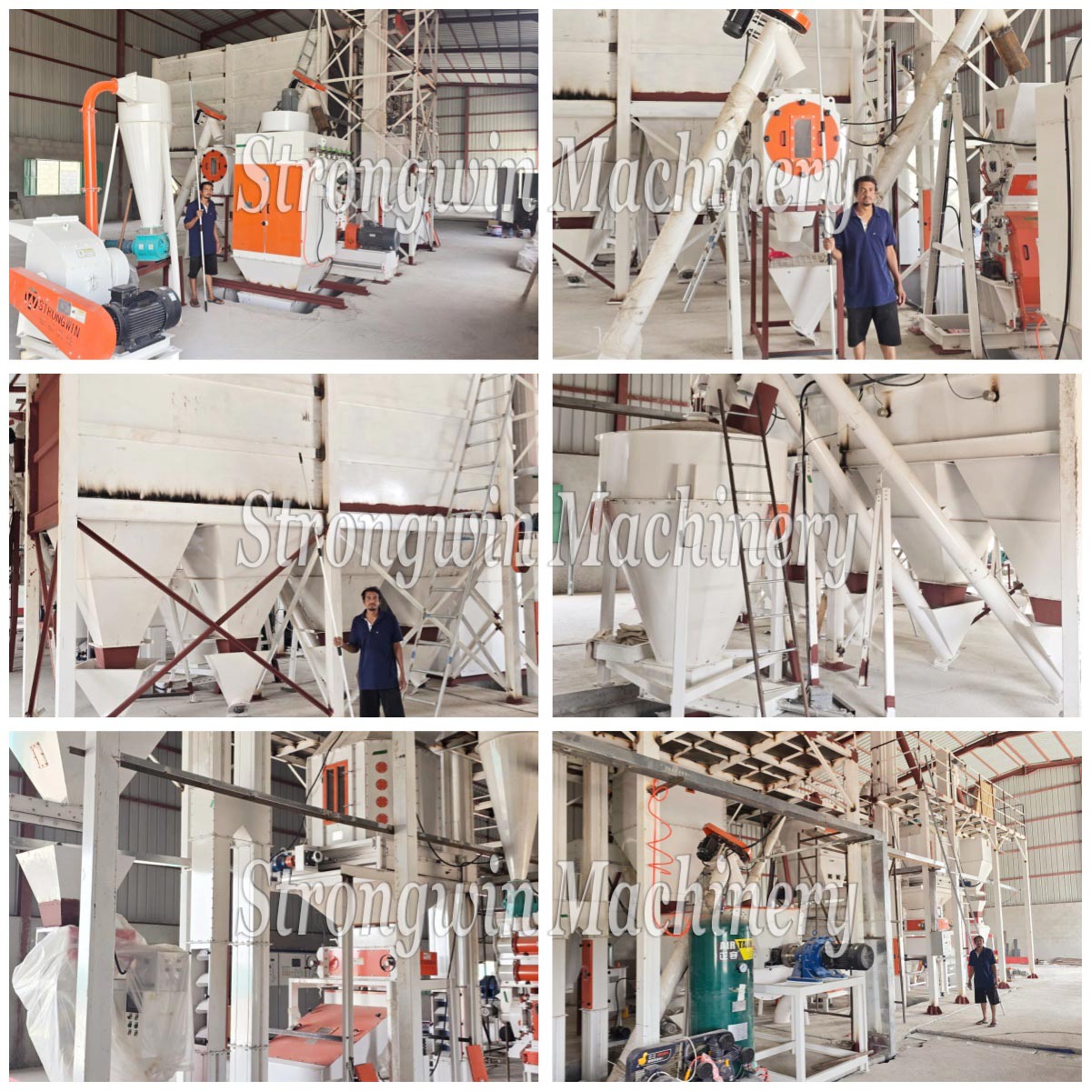 SZLH320 Animal Feed Pellet Production Plant Project in Oman