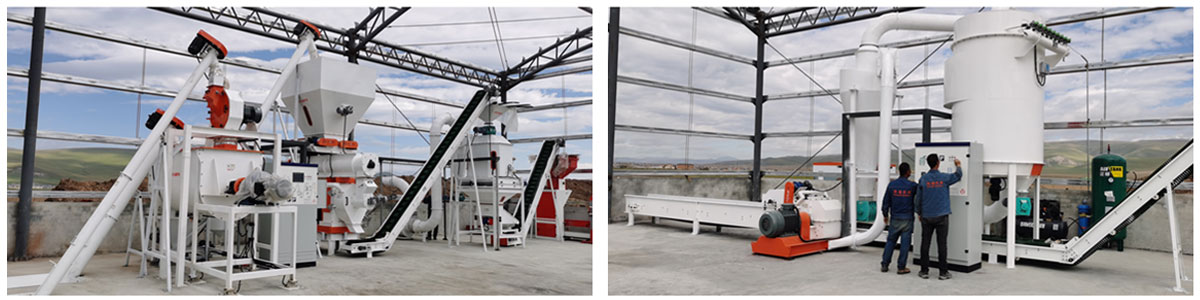 Ruminant Feed Pellet Production Line Installation Completed