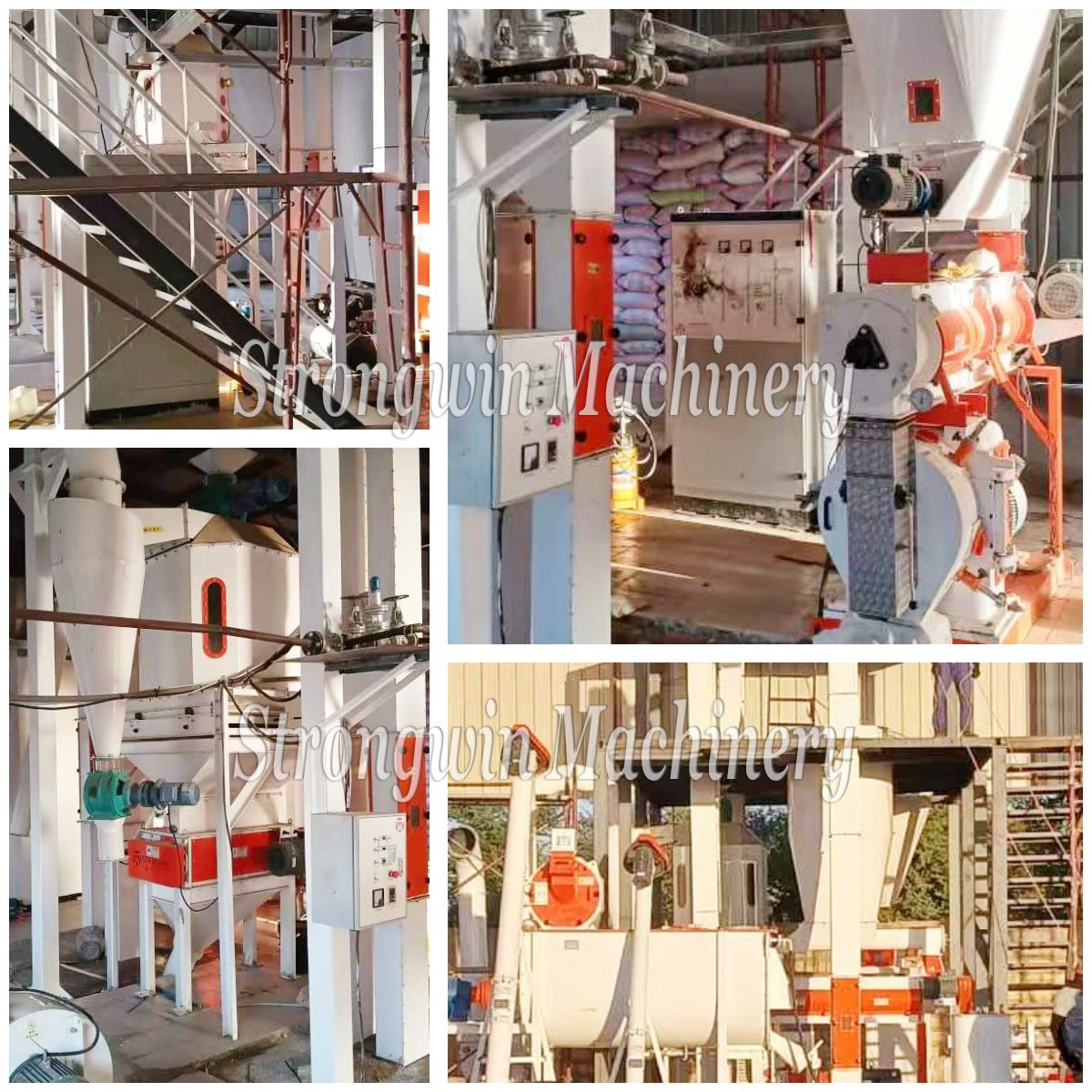 SZLH320 Animal Feed Pellet Production Line Machines in Senegal 