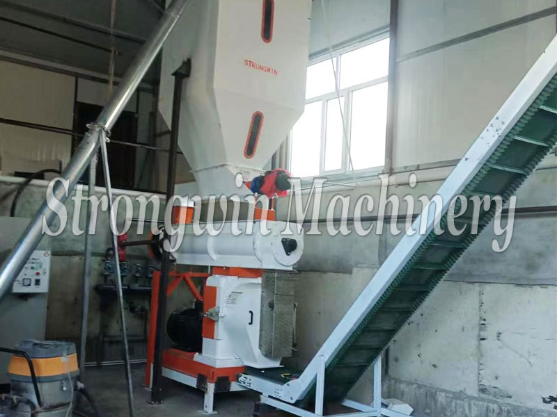 cat litter production line