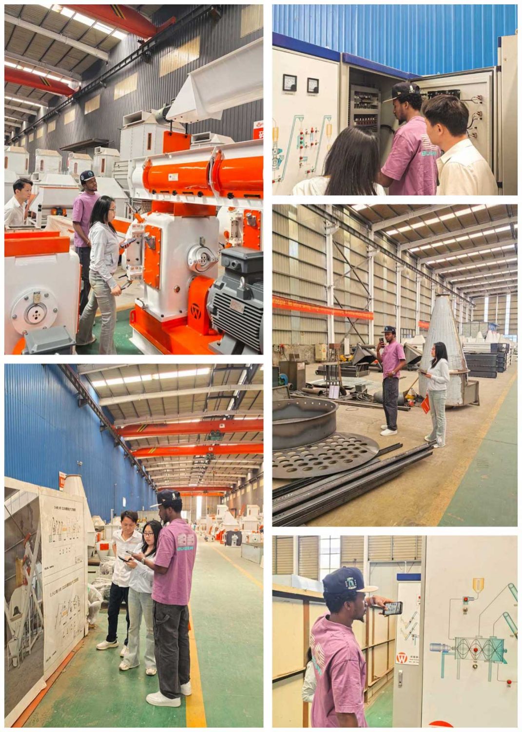 Cote d'Ivoire Customer Visited Strongwin Machinery Factory and Placed Orders for Feed Production Line