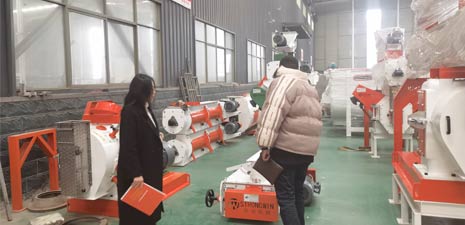 Tanzanian customers visited the factory for poultry feed production machines