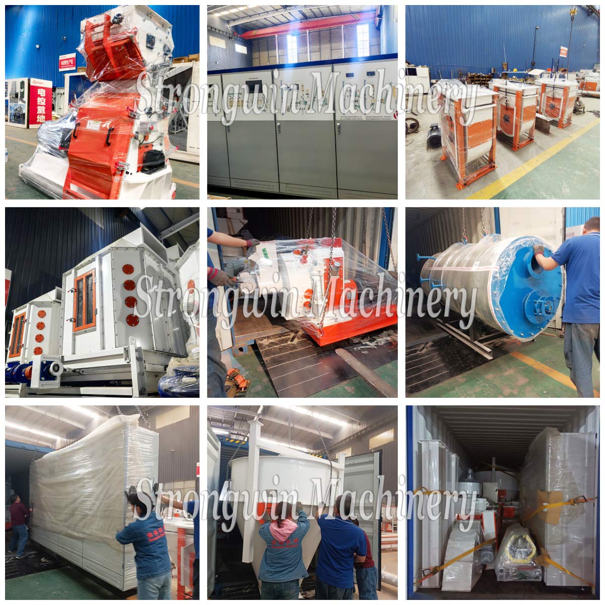 Complete Set SZLH320 Animal Feed Pellet Production Plant packing and shipping to Oman