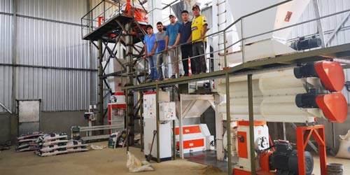 SZLH350 Feed Pellet Production Line Solution Project 5t/h