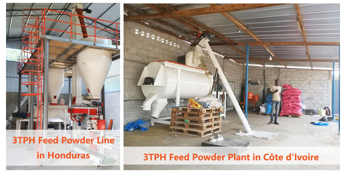 3TPH Feed Powder Plant in C&ocirc;te d'Ivoire 