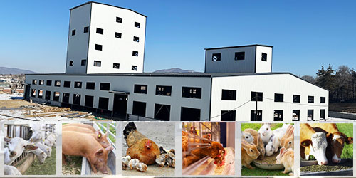 Solution complète d'usine d'alimentation animale, machines de production de granulés d'aliments pour animaux