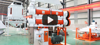 SZLH Feed Pellet Machine
