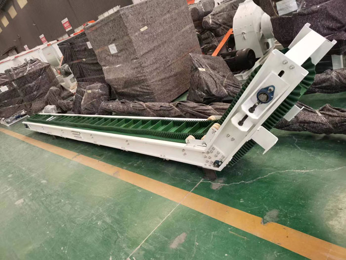 Algeria feed conveyor