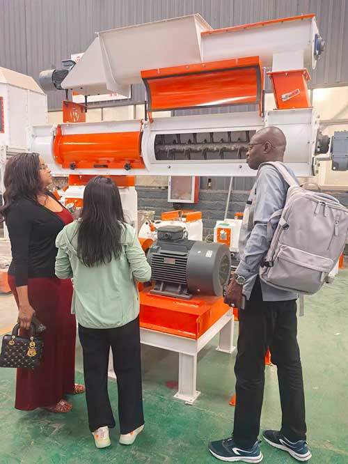Customers from Senegal visit our factory